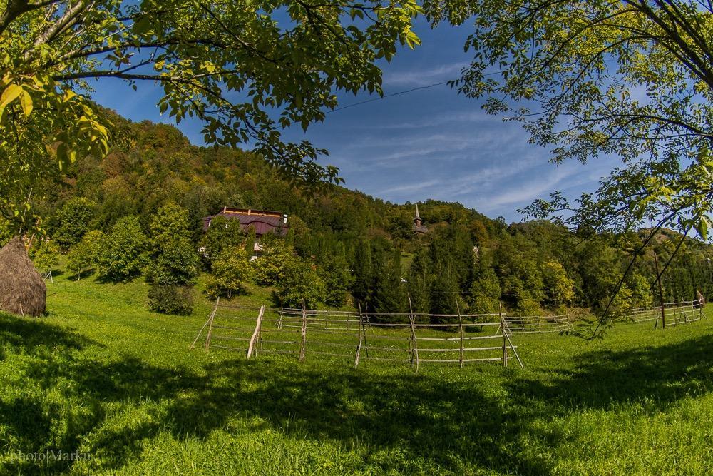 Vila Flora Viseu De Jos Eksteriør billede